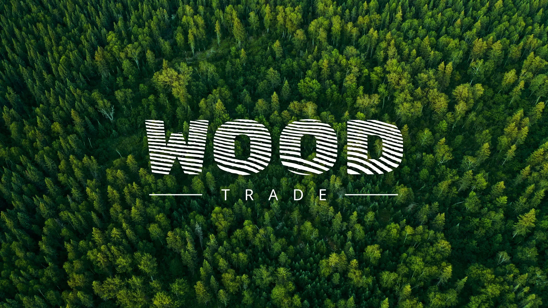 Разработка интернет-магазина компании «Wood Trade» в Билибино